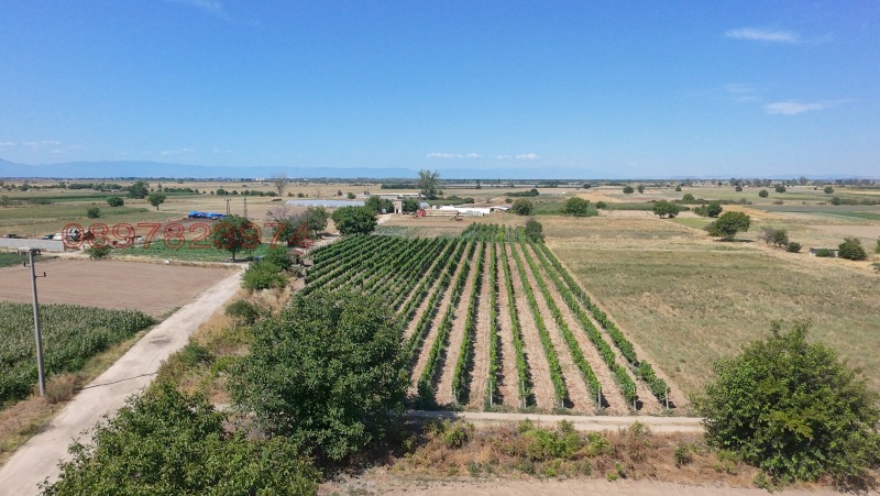Na prodej  Přistát oblast Plovdiv , Dalgo pole , 5.01 dka | 96060435 - obraz [10]