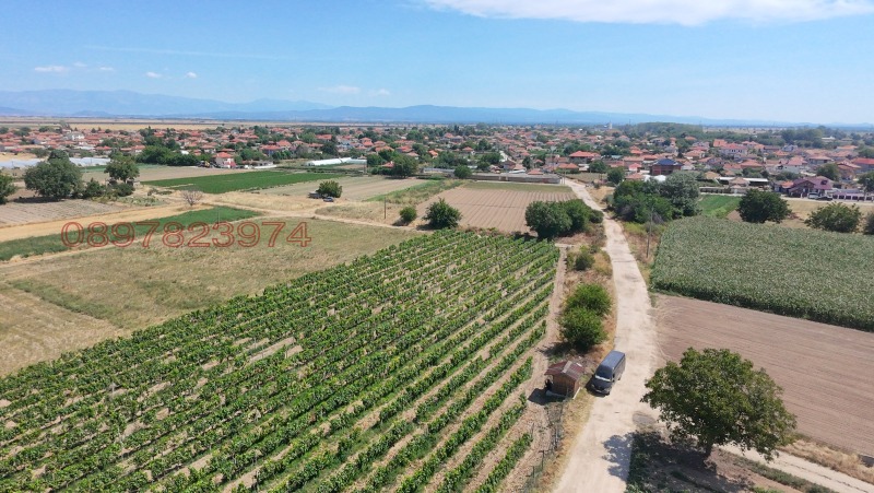 Na prodej  Přistát oblast Plovdiv , Dalgo pole , 5.01 dka | 96060435