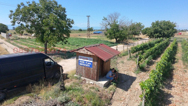 Na prodej  Přistát oblast Plovdiv , Dalgo pole , 5.01 dka | 96060435 - obraz [4]
