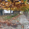 Продава КЪЩА, с. Приселци, област Варна, снимка 3