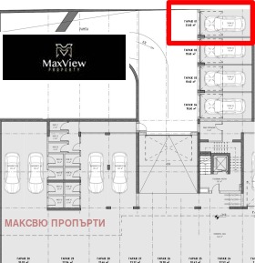 ����� ������� �����,���� �����, �������� ������