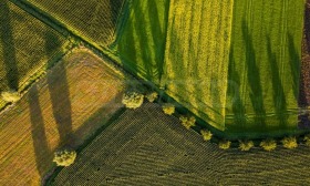 Działka Gorna Malina, region Sofia 3