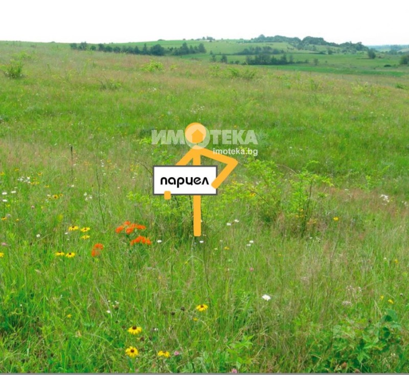 Продава  Парцел, област Пловдив, с. Брестник •  267 785 EUR • ID 83249491 — holmes.bg - [1] 