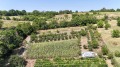 Продава ПАРЦЕЛ, област Русе, с. Мечка • 33000 € / 64542.39 лв. • 40906278 4