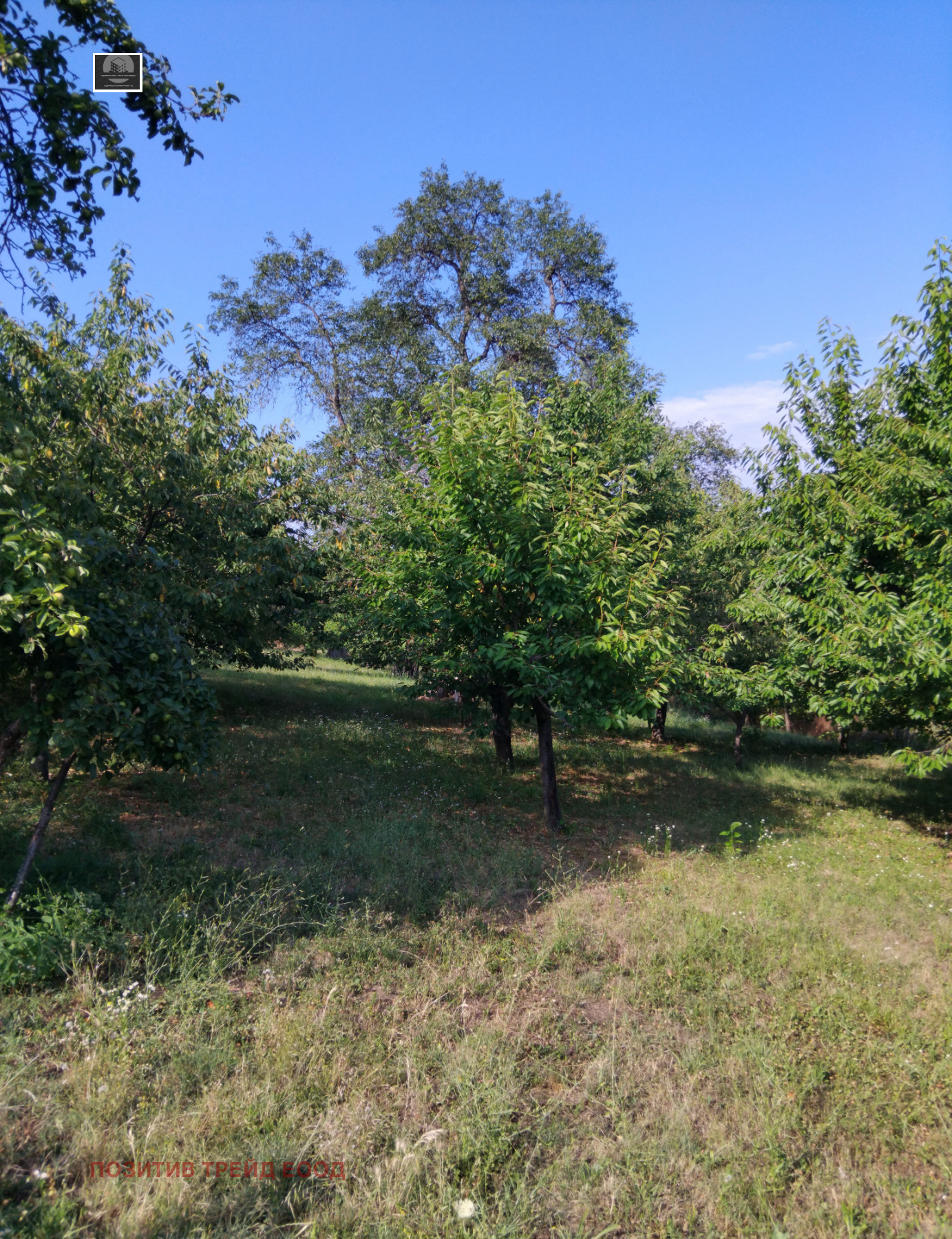 ������� ������ | Imot.bg � ����������� 4