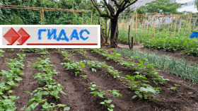 ������� ���� | Imot.bg � ����� ������ 17