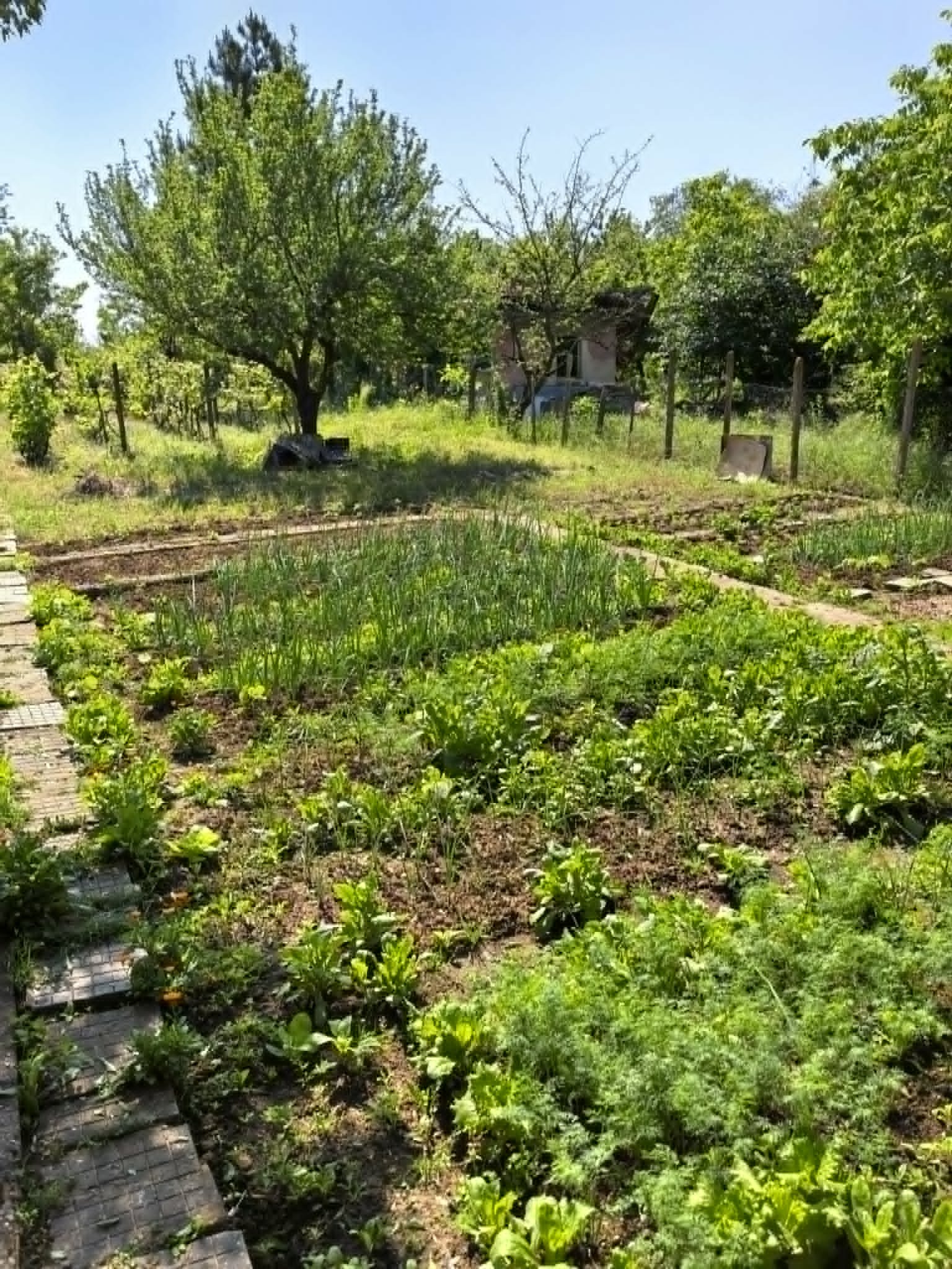 Продава ВИЛА, гр. Плевен, Индустриална зона - Изток, снимка 8 - Вили - 54677148