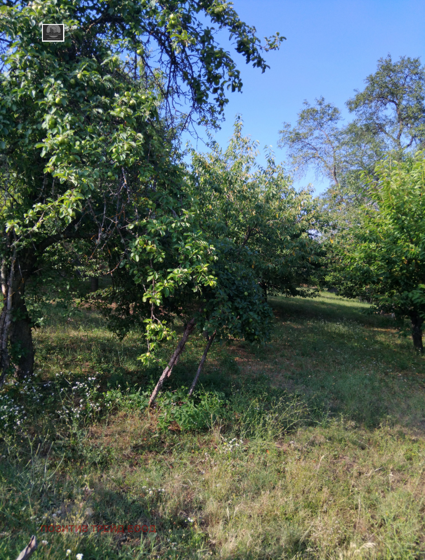 Продава ПАРЦЕЛ, с. Кадровица, област Кюстендил