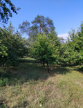Продава ПАРЦЕЛ, с. Кадровица, област Кюстендил, снимка 4