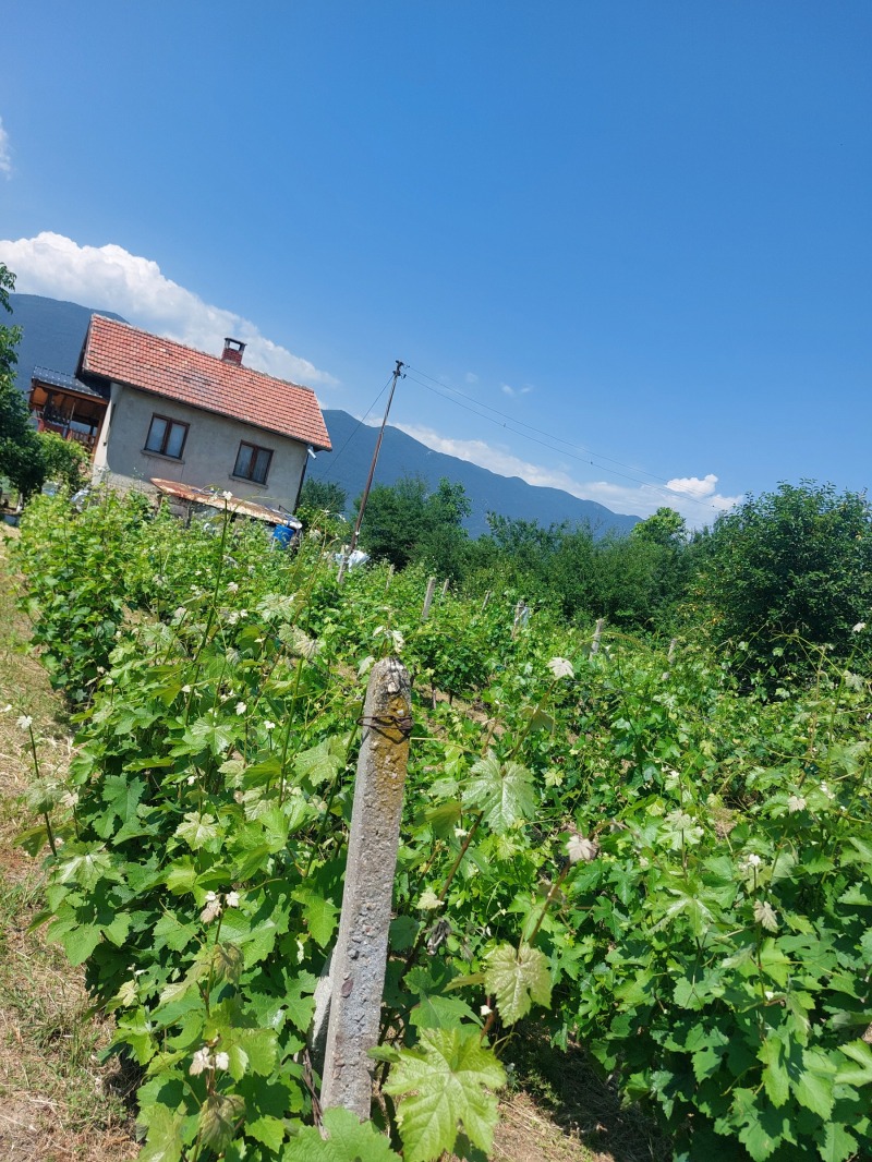 Satılık  Ev Vraca , Kulata , 80 metrekare | 54649982 - görüntü [11]