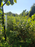 Продава ПАРЦЕЛ, област София, с. Литаково • 58520 лв. • 49704097 — Holmes.bg