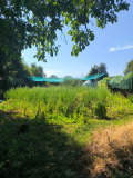 Продава ПАРЦЕЛ, област София, с. Литаково • 58520 лв. • 49704097 — Holmes.bg
