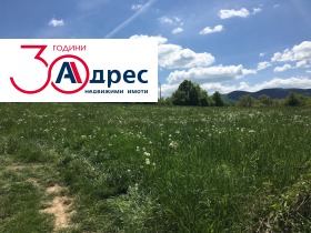 ������ ������� ������