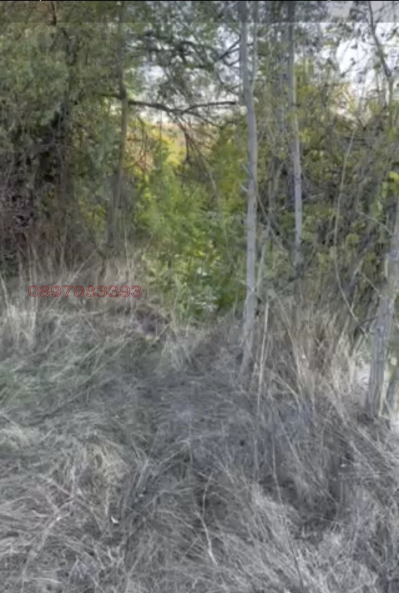 Продава ПАРЦЕЛ, с. Долни Вадин, област Враца