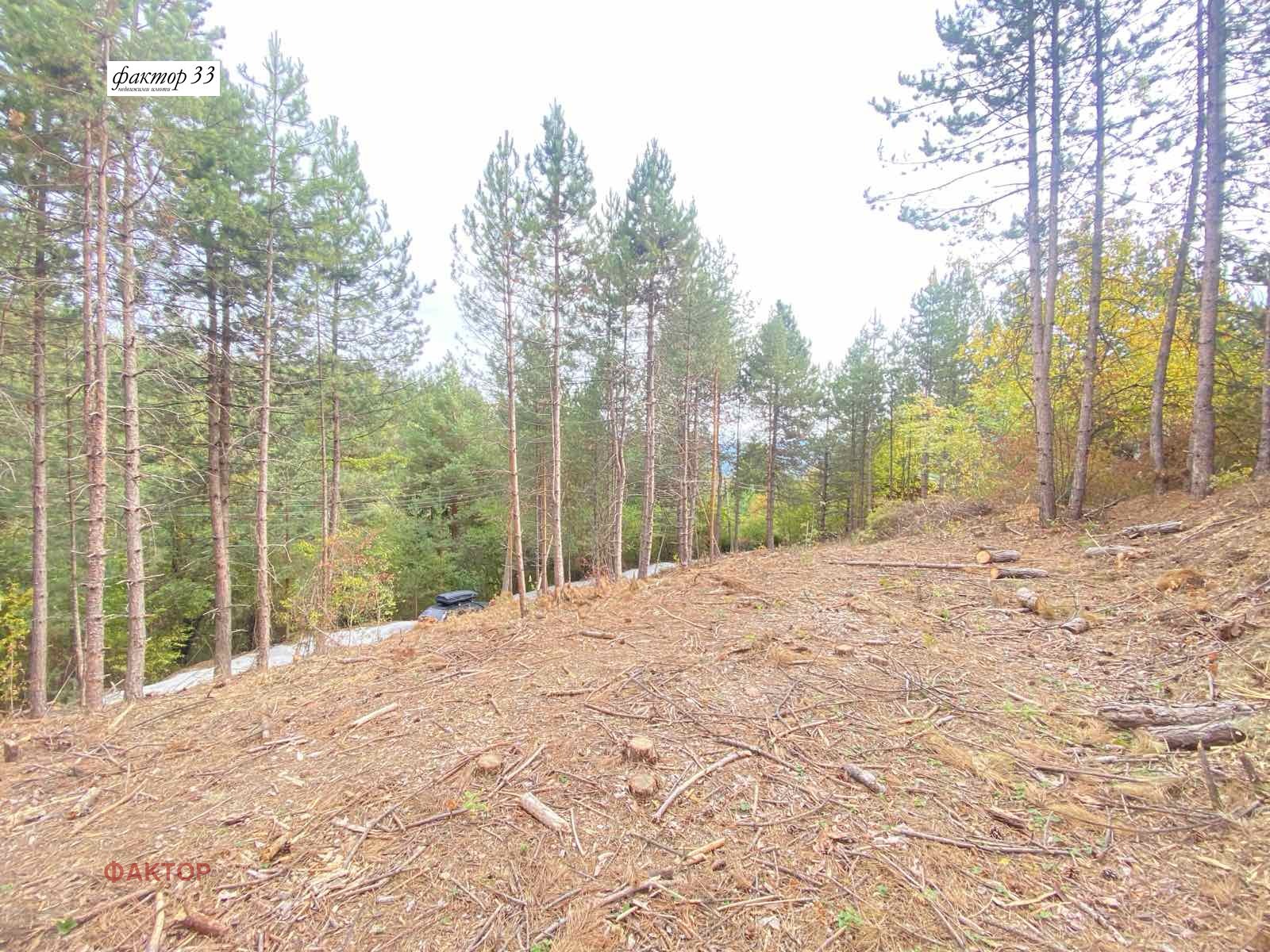 Продава ПАРЦЕЛ, гр. София, с. Бистрица, снимка 6 - Парцели - 55103653