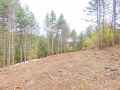 Продава ПАРЦЕЛ, гр. София, с. Бистрица, снимка 6