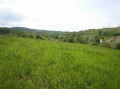 Продава ПАРЦЕЛ, област Велико Търново, гр. Елена • 60000 € / 117349.80 лв. • 85285833 5