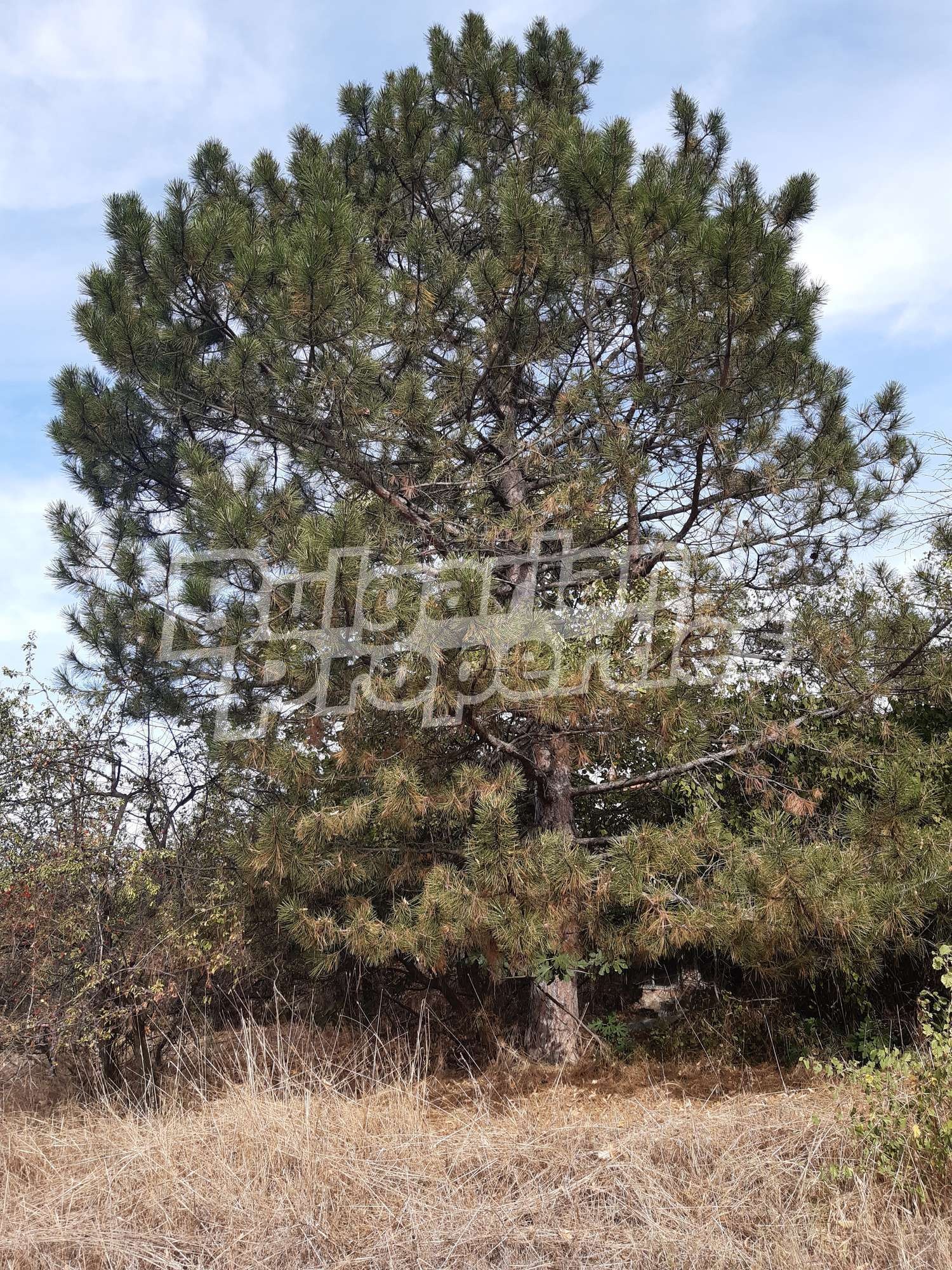 Продава КЪЩА | Imot.bg — изображение 13