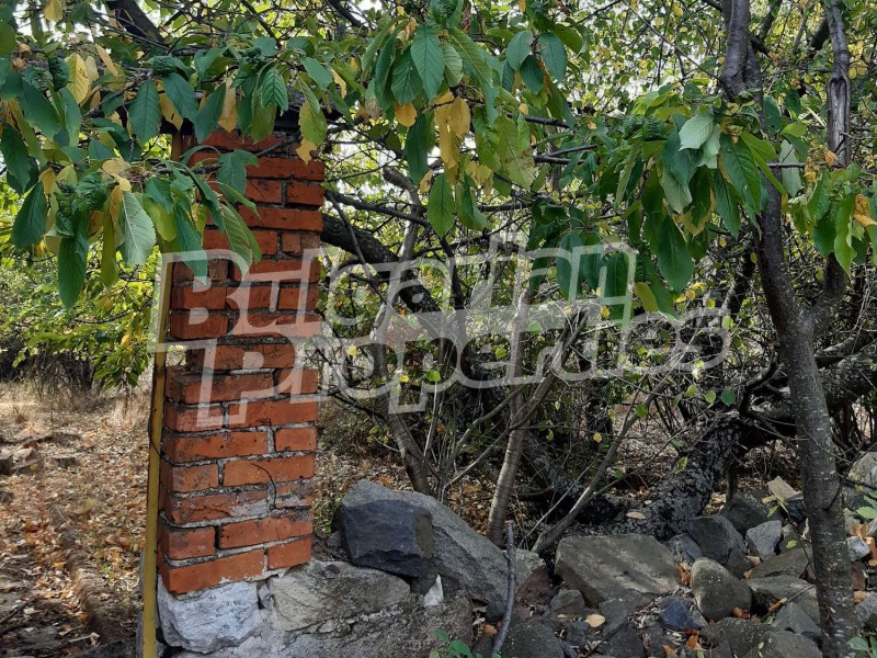 Продава  Къща област Добрич , гр. Генерал Тошево , 220 кв.м | 26548634 - изображение [12]