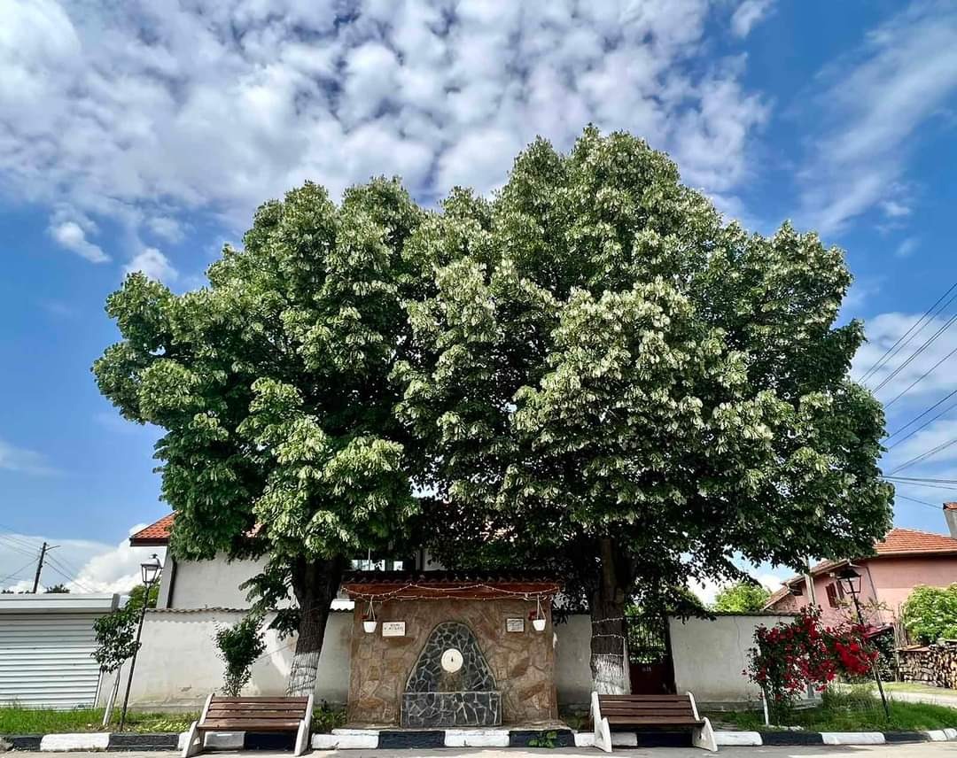 Продава КЪЩА | Imot.bg — изображение 1