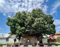 Продава КЪЩА, област София, с. Караполци • 196000 € • 57591177 — Holmes.bg