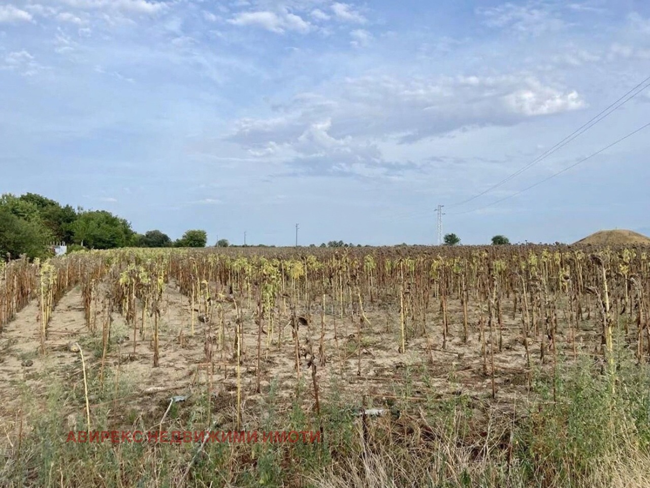 Продава ПАРЦЕЛ | Imot.bg — изображение 2