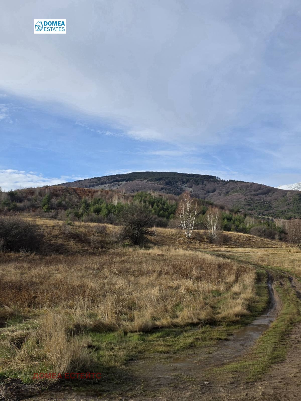 ������� ������ | Imot.bg � ����������� 1