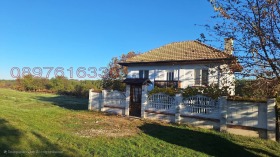 ������ ������� ����