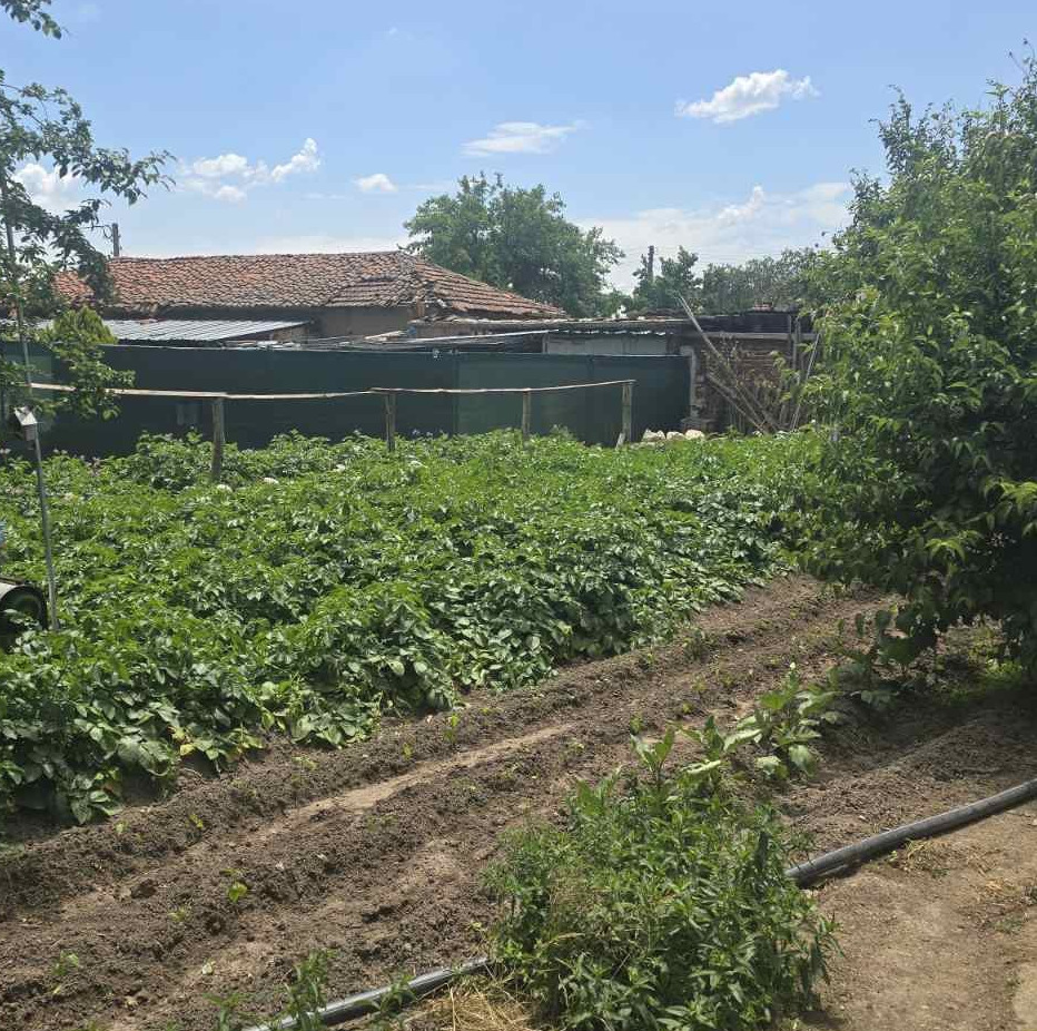 Продава КЪЩА, с. Трилистник, област Пловдив, снимка 3 - Къщи - 55884358