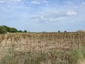 Продава ПАРЦЕЛ, с. Строево, област Пловдив, снимка 2