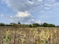Продава ПАРЦЕЛ, област Пловдив, с. Строево • 32000 € • 54651134 — Holmes.bg