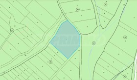 ����� ������� ������,�. ����� ������, ������ �����