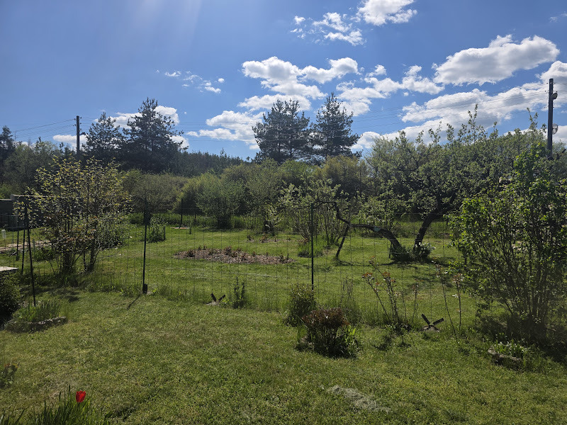 Продава КЪЩА, гр. Павел баня, област Стара Загора, снимка 2 - Къщи - 54530956