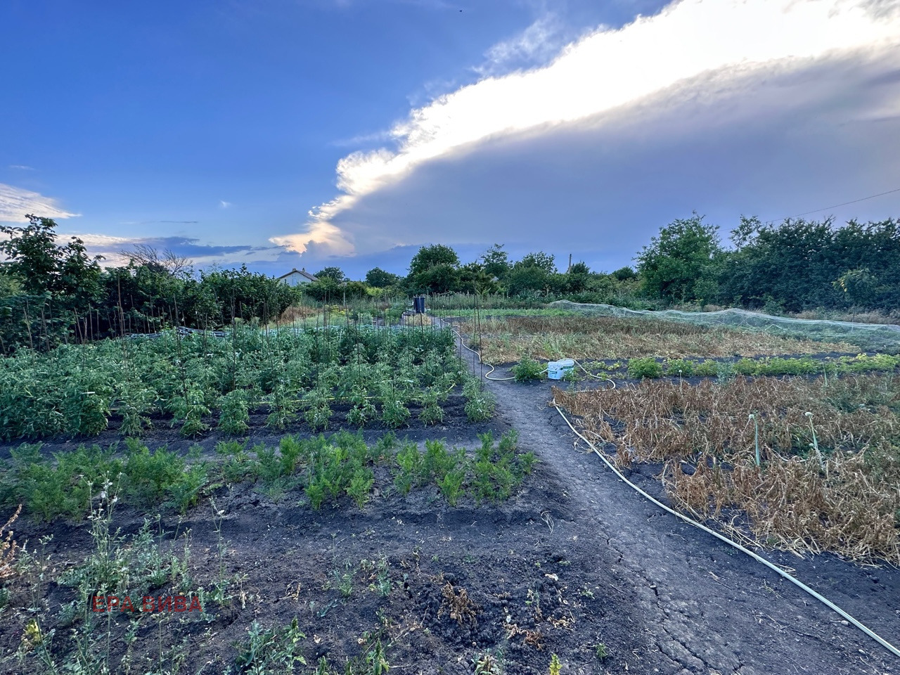 Продава ПАРЦЕЛ, с. Камен бряг, област Добрич