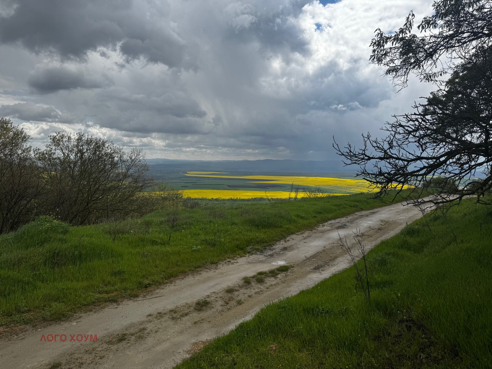 ������� ���� | Imot.bg � ����������� 11