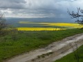 Продава КЪЩА, с. Аврен, област Варна, снимка 1