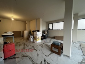 Comprar Banichora, Sofia
