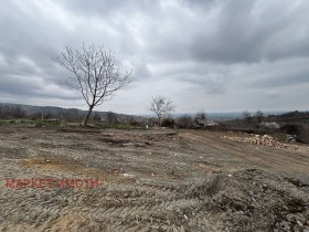 ������ ������� ������