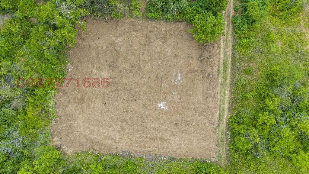 Продава ПАРЦЕЛ, гр. Плевен, м-т Мъртва долина, снимка 6 - Парцели - 55469836