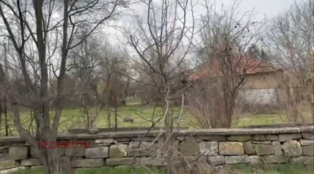 ������� ������ | Imot.bg � ����������� 1