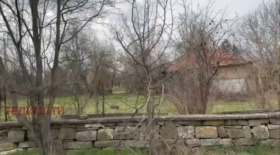 ����� ������� ������,�. �������, ������ ������