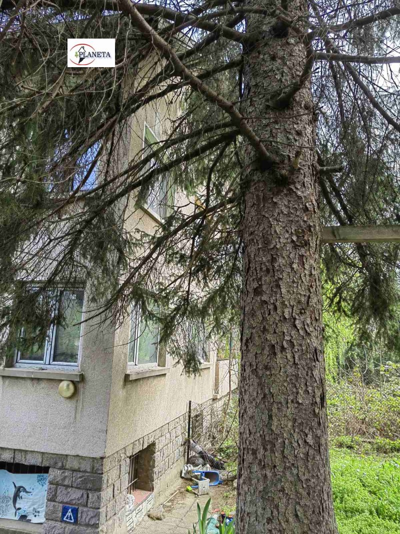 Eladó  Ház Sofia , Knjazsevo , 220 négyzetméter | 70443579 - kép [12]