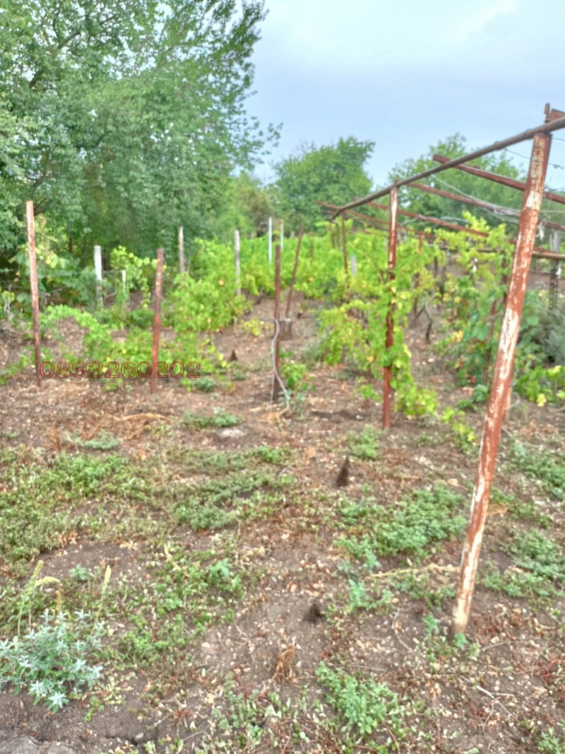 Продава ВИЛА, гр. Добрич, м-т Газибаба, снимка 9 - Вили - 52910576