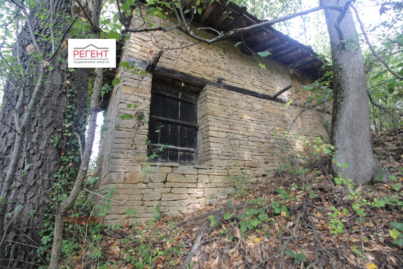 Na prodej  Spiknutí oblast Gabrovo , Stojčovci , 450 m2 | 23129308