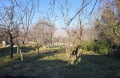 Продава КЪЩА, град Варна, м-т Боровец - север • 140000 € • 17654093 — Holmes.bg