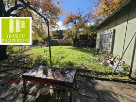 ����� ������� ����,���� �����, ����� �������