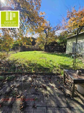 ����� ������� ����,���� �����, ����� �������