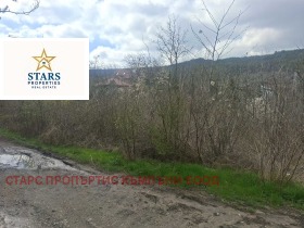 ����� ������� ������,���� �����, �-� ����� �����