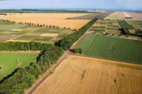 Продажба на земеделски земи в област Добрич - изображение 1 