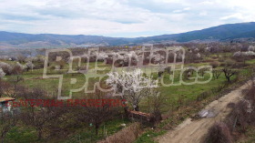 Jord Sapareva banya, region Kyustendil 13